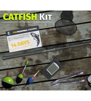 Professional Fishing - Catfish Kit DLC Steam Key GLOBAL